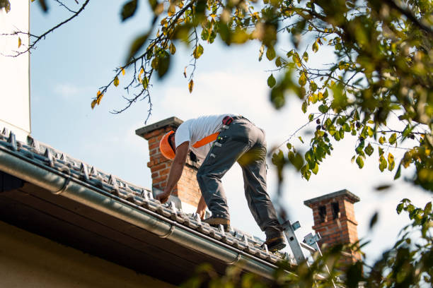 Best Sealant for Roof  in Owings, MD