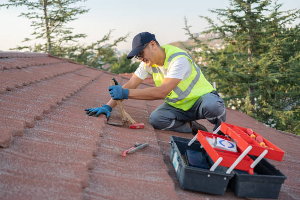 Best Local Roofing Companies  in Owings, MD